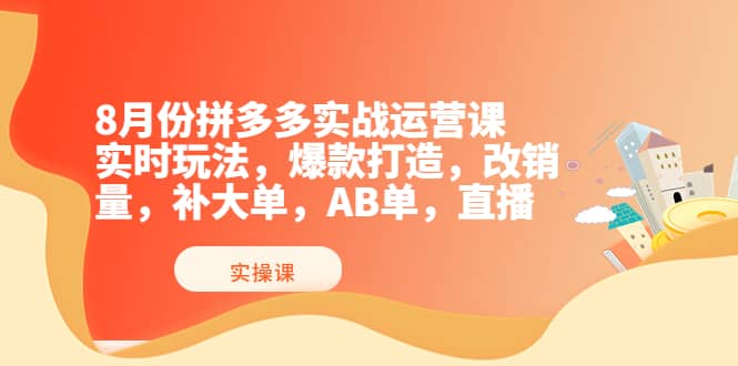 8月份拼多多实战运营课，实时玩法，爆款打造，改销量，补大单，AB单，直播-小小小弦