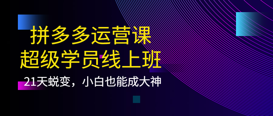 拼多多运营课：超级学员线上班，21天蜕变，小白也能成大神-小小小弦