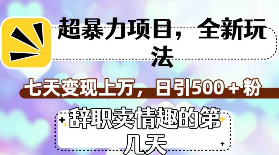 超暴利项目，全新玩法（辞职卖情趣的第几天），七天变现上万，日引500+粉-小小小弦