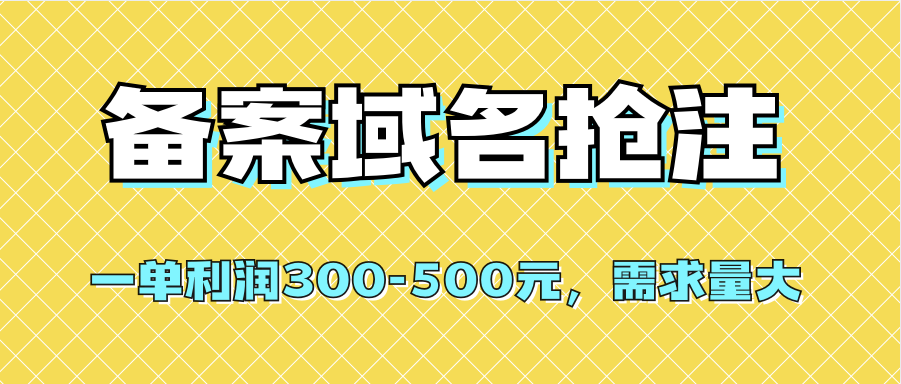 【全网首发】备案域名抢注，一单利润300-500元，需求量大-小小小弦