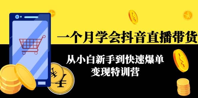 一个月学会抖音直播带货：从小白新手到快速爆单变现特训营(63节课)-小小小弦