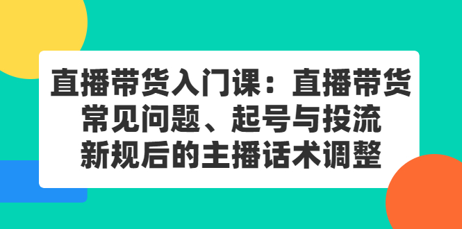 直播带货入门课：直播带货常见问题、起号与投流、新规后的主播话术调整-小小小弦