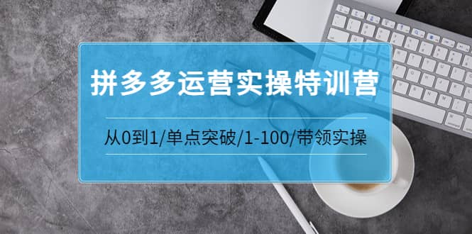 拼多多运营实操特训营：从0到1/单点突破/1-100/带领实操 价值2980元-小小小弦