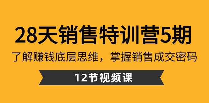 28天·销售特训营5期：了解赚钱底层思维，掌握销售成交密码（12节课）-小小小弦