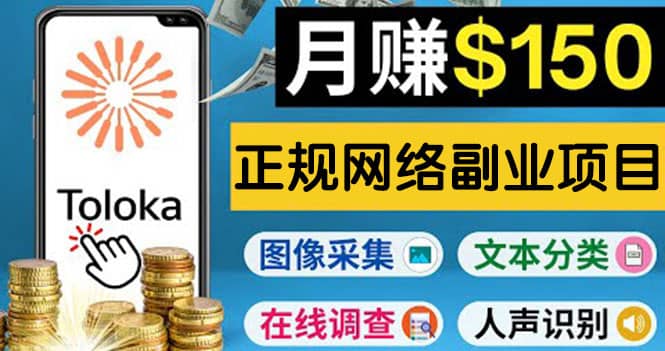 正规网络副业赚钱平台Toloka，利用业余时间月赚150美元-小小小弦