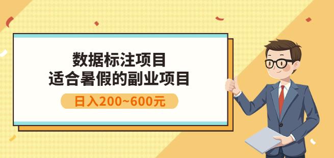 副业赚钱：人工智能数据标注项目，简单易上手，小白也能日入200+-小小小弦