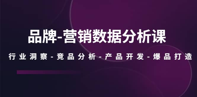 品牌-营销数据分析课，行业洞察-竞品分析-产品开发-爆品打造-小小小弦