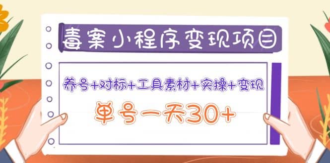 毒案小程序变现项目：养号+对标+工具素材+实操+变现-小小小弦