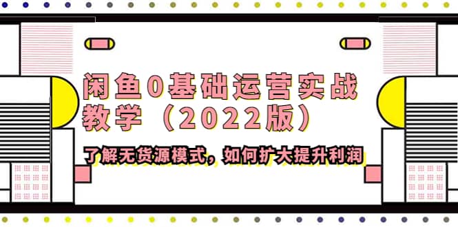 闲鱼0基础运营实战教学（2022版）了解无货源模式，如何扩大提升利润-小小小弦