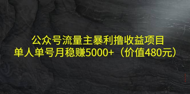 公众号流量主暴利撸收益项目，单人单号月稳赚5000+（价值480元）-小小小弦