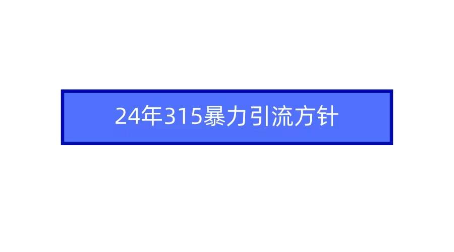 2024年315暴力引流方针-小小小弦