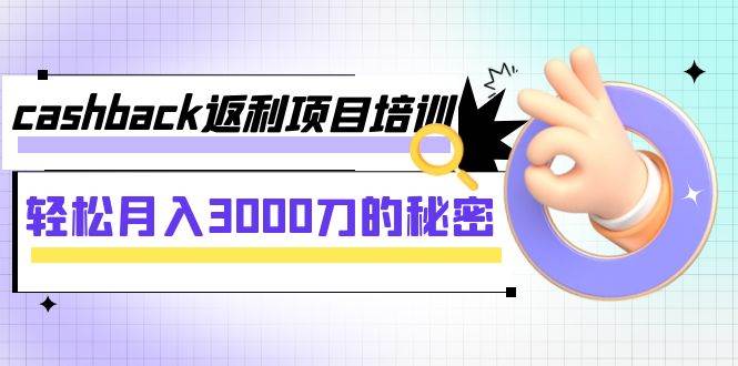 cashback返利项目培训：轻松月入3000刀的秘密（8节课）-小小小弦