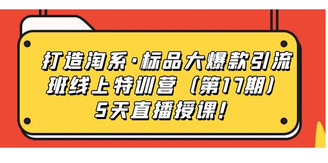 打造淘系·标品大爆款引流班线上特训营5天直播授课！-小小小弦