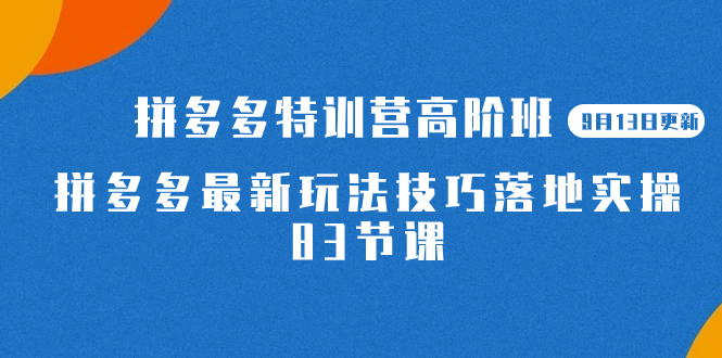 2023拼多多·特训营高阶班【9月13日更新】拼多多最新玩法技巧落地实操-83节-小小小弦