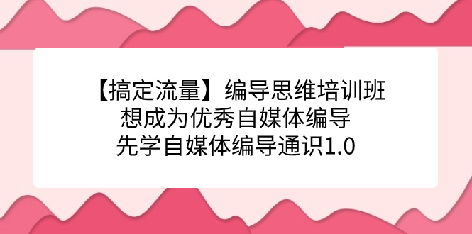 【搞定流量】编导思维培训班，想成为优秀自媒体编导先学自媒体编导通识1.0-小小小弦