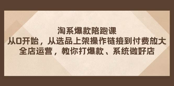 淘系爆款陪跑课 从选品上架操作链接到付费放大 全店运营 打爆款 系统做好店-小小小弦