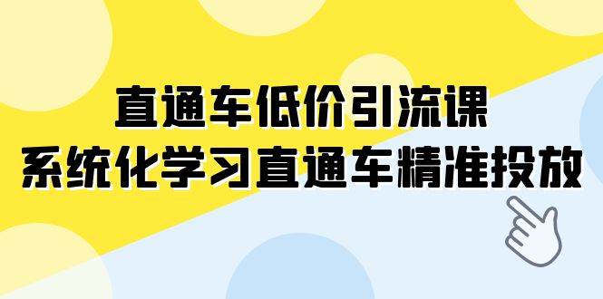 直通车-低价引流课，系统化学习直通车精准投放（14节课）-小小小弦