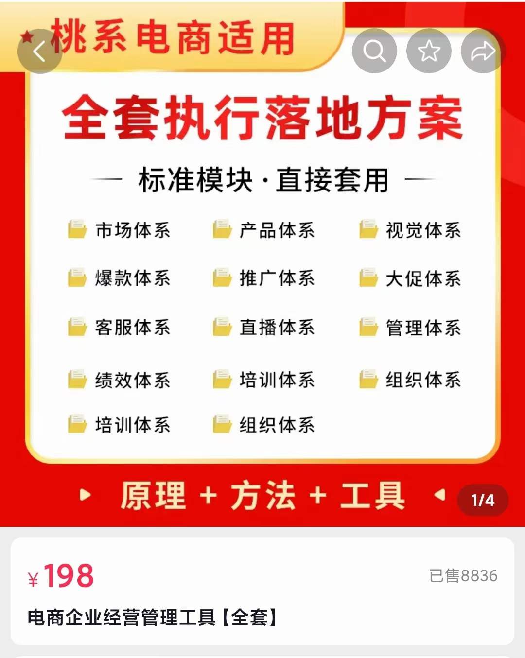 外面卖198·电商企业经营管理工具：全套执行落地方案 标准模块·直接套用-小小小弦