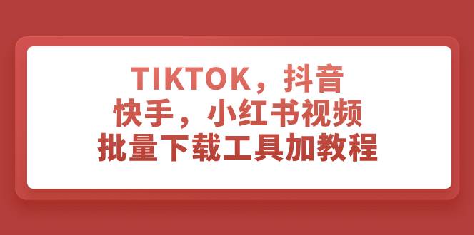 TIKTOK，抖音，快手，小红书视频批量下载工具加教程-小小小弦