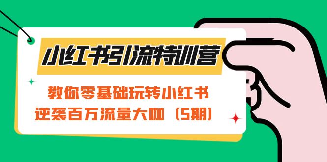 小红书引流特训营-第5期：教你零基础玩转小红书，逆袭百万流量大咖-小小小弦