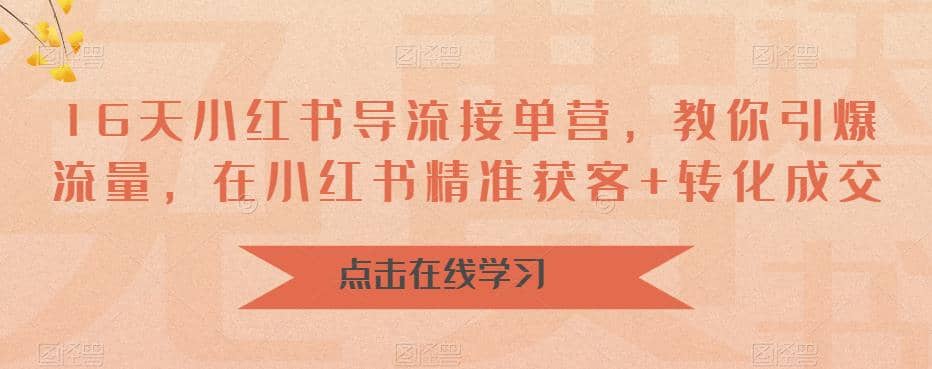 16天-小红书 导流接单营，教你引爆流量，在小红书精准获客+转化成交-小小小弦