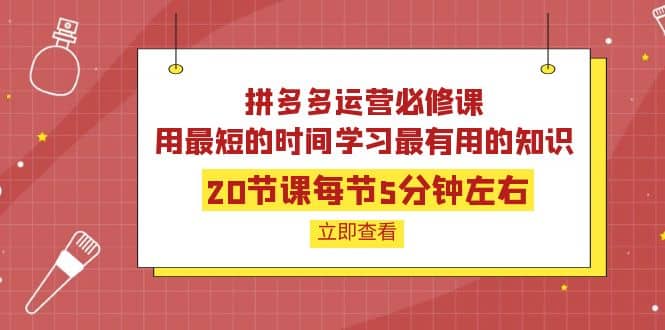 拼多多运营必修课：20节课每节5分钟左右，用最短的时间学习最有用的知识-小小小弦