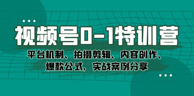 视频号0-1特训营：平台机制、拍摄剪辑、内容创作、爆款公式，实战案例分享-小小小弦