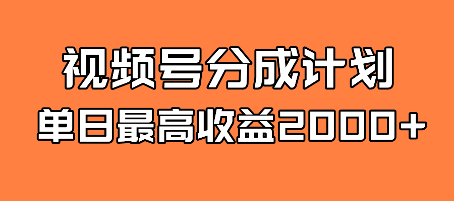 全新蓝海 视频号掘金计划 日入2000+-小小小弦