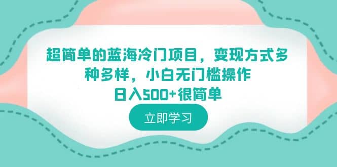 超简单的蓝海冷门项目，变现方式多种多样，小白无门槛操作日入500+很简单-小小小弦