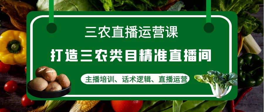 三农直播运营课：打造三农类目精准直播间，主播培训、话术逻辑、直播运营-小小小弦