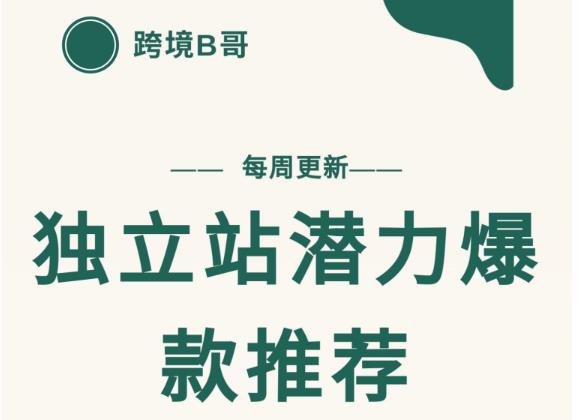 【跨境B哥】独立站潜力爆款选品推荐，测款出单率高达百分之80（每周更新）-小小小弦