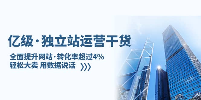 独立站运营干货：全面提升网站·转化率超过4%，轻松大卖 用数据说话-小小小弦