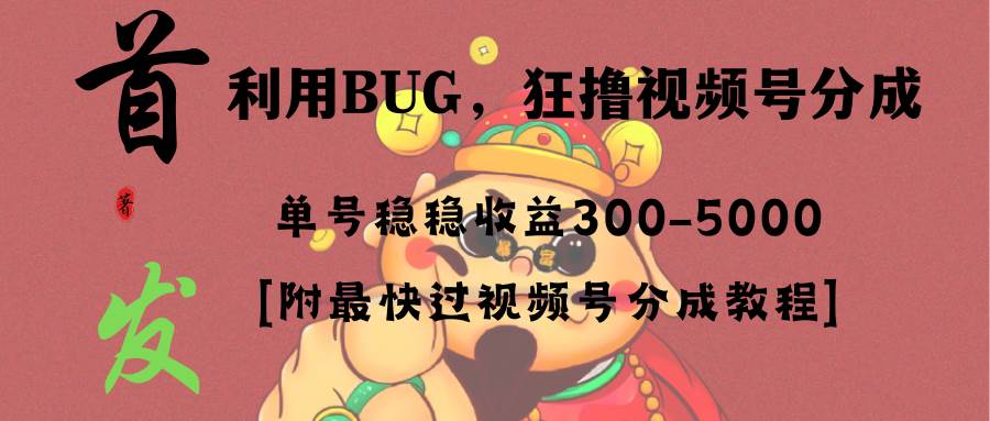 全网独家首发，视频号BUG，超短期项目，单号每日净收益300-5000！-小小小弦