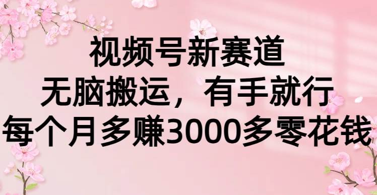 视频号新赛道，无脑搬运，有手就行，每个月多赚3000多零花钱-小小小弦