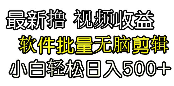 发视频撸收益，软件无脑批量剪辑，第一天发第二天就有钱-小小小弦