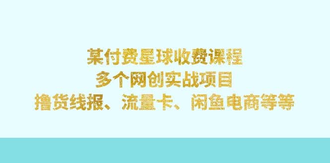 某付费星球课程：多个网创实战项目，撸货线报、流量卡、闲鱼电商等等-小小小弦