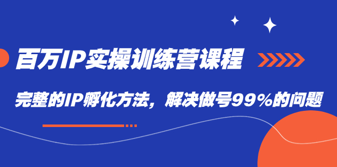 百万IP实战训练营课程，完整的IP孵化方法，解决做号99%的问题-小小小弦