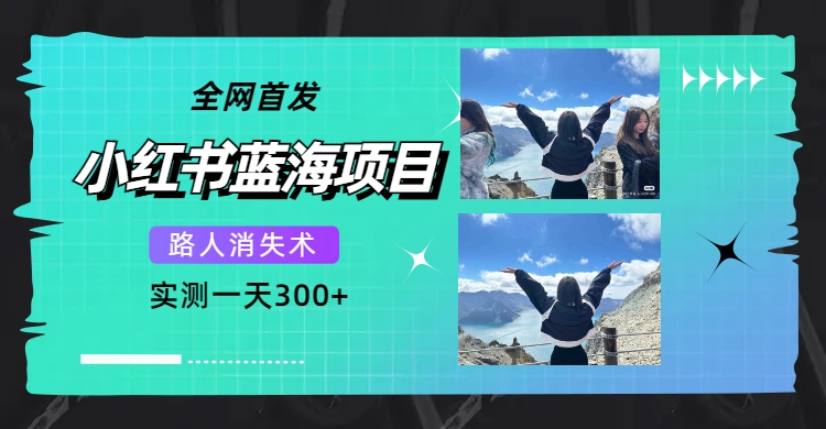 全网首发，小红书蓝海项目，路人消失术，实测一天300+（教程+工具）-小小小弦