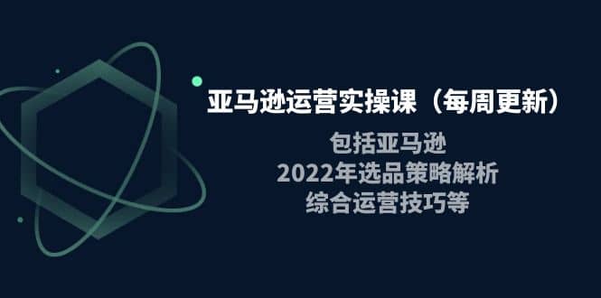 亚马逊运营实操课（每周更新）包括亚马逊2022选品策略解析，综合运营技巧等-小小小弦