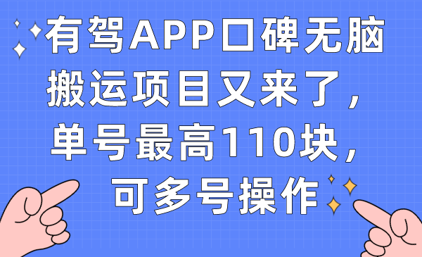 有驾APP口碑无脑搬运项目又来了，单号最高110块，可多号操作-小小小弦