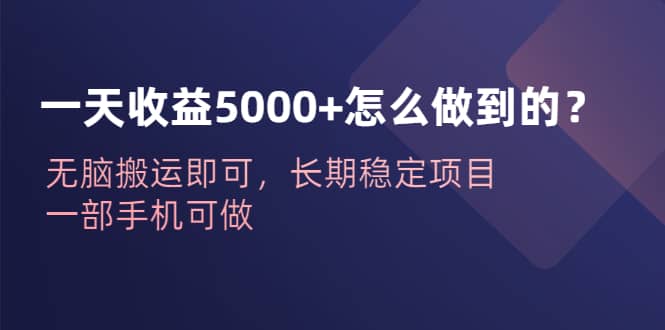 一天收益5000+怎么做到的？无脑搬运即可，长期稳定项目，一部手机可做-小小小弦