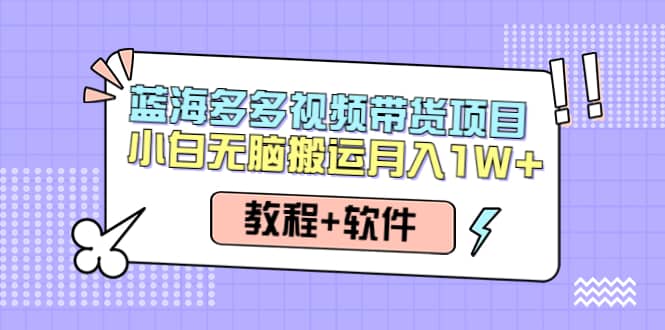 人人都能操作的蓝海多多视频带货项目 小白无脑搬运（教程+软件）-小小小弦