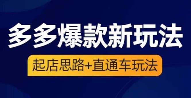 2023拼多多爆款·新玩法：起店思路+直通车玩法（3节精华课）-小小小弦