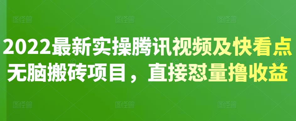 2022最新实操腾讯视频及快看点无脑搬砖项目，直接怼量撸收益-小小小弦