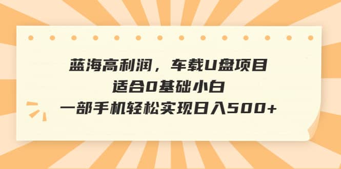 蓝海高利润，车载U盘项目，适合0基础小白，一部手机轻松实现日入500+-小小小弦