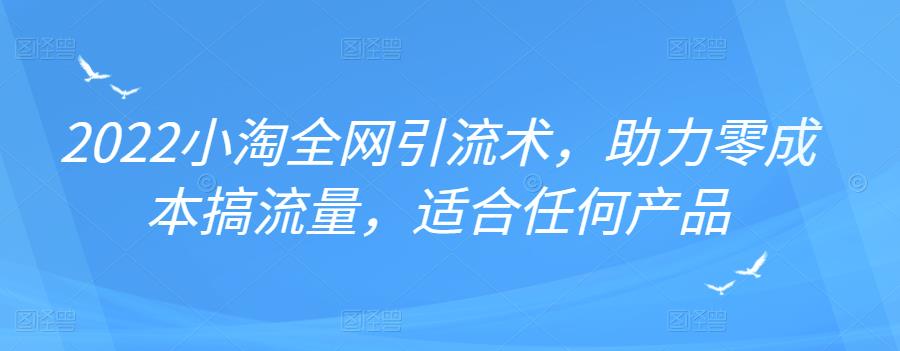 2022年小淘全网引流术，助力零成本搞流量，适合任何产品-小小小弦