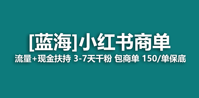 【蓝海项目】小红书商单项目，7天就能接广告变现，稳定一天500+保姆级玩法-小小小弦