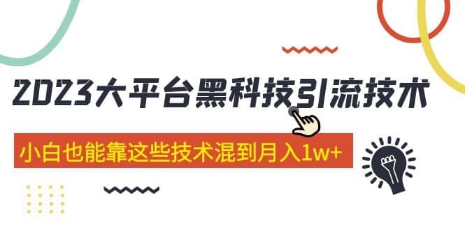 价值4899的2023大平台黑科技引流技术 29节课-小小小弦