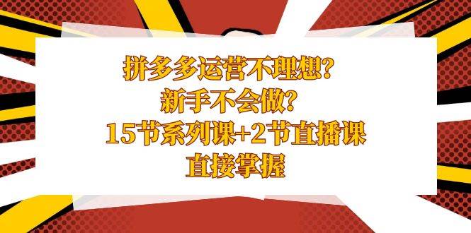 拼多多运营不理想？新手不会做？15节系列课+2节直播课，直接掌握-小小小弦