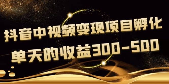 黄岛主《抖音中视频变现项目孵化》单天的收益300-500 操作简单粗暴-小小小弦